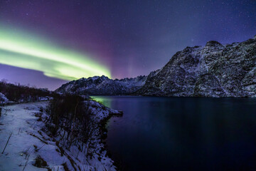 Auroras over Lofoten