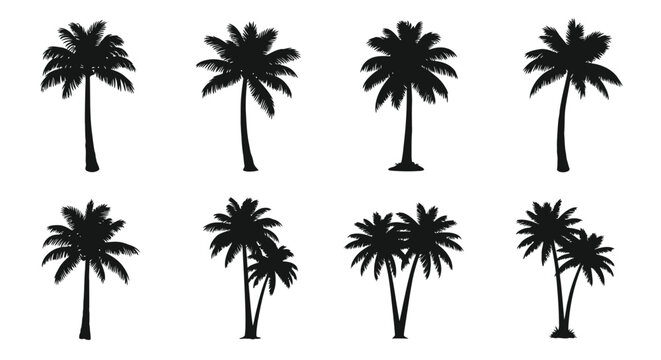 Collection of various black silhouette palm tree icons isolated on a clean white background