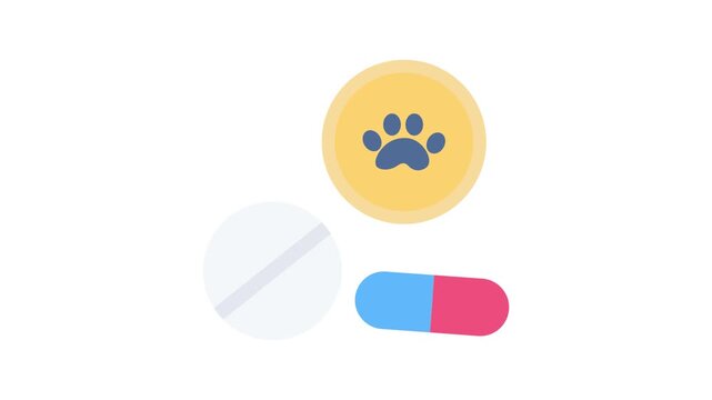 A dog paw, a single pill, and a pill bottle arranged on a flat surface, indicating pet medication.
