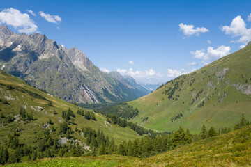 Naklejka premium Rolling green hills dotted with conifer trees descend into a wide alpine valley, framed by steep rocky peaks and a clear blue sky in Vallee de l'A Neuve, Switzerland.