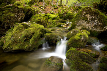 Moss-Covered Rocks and Stream in Argovejo beech Forest, Le&oacute;n, Castilla y Leon, Spain