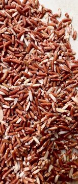 Organic Sangyot brown rice, an indigenous Thai rice variety, is rich in nutrients, fiber, and antioxidants, reflecting the concept of clean food, a healthy lifestyle, and sustainable agriculture 