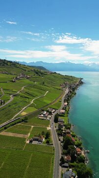 Lake Geneva shore Lavaux vineyards terrace in Switzerland UNESCO World Heritage site aerial drone