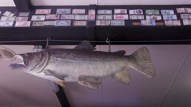 A large trout fish hangs from the ceiling inside a pub. The surrounding walls feature many banknotes. The camera captures the atmosphere in a casual indoor setting.