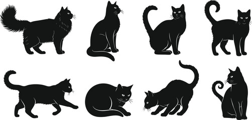 Black cat silhouettes collection in different poses, elegant feline characters isolated on white background, spooky Halloween vector illustration set © Itz Nur
