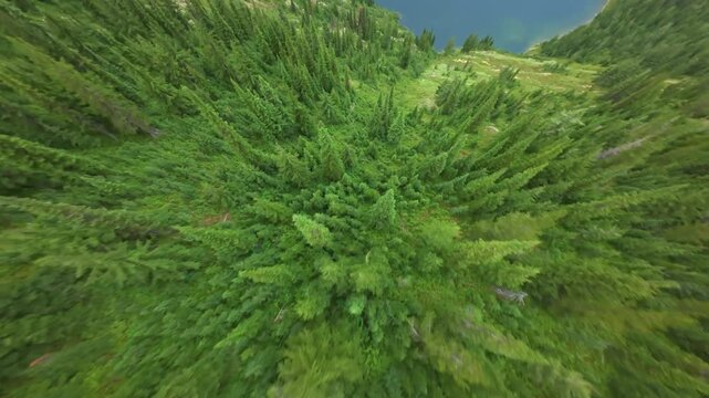 A DJI Avata 2 first person view (FPV) drone diving or mountain surfing down a gully dangerously close to trees to Lower and Upper Stevens Lake on the border of Idaho and Montana near Coeur D'Alene