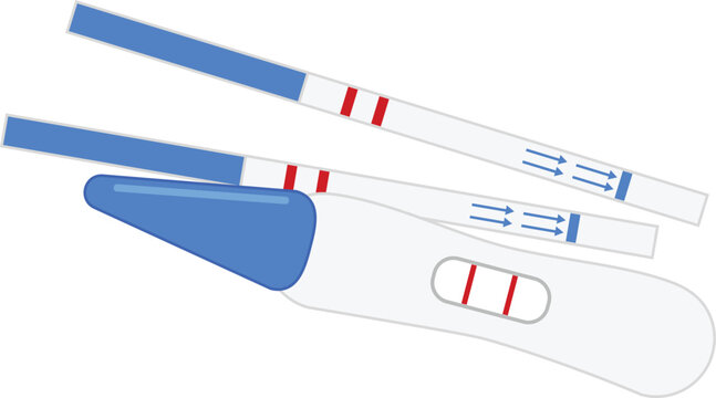 Vector illustration of positive pregnancy tests, featuring two test strips and one midstream digital-style test. All three show two red lines indicating a positive result.
