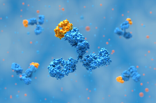 Monoclonal antibody (mAb) therapy - 3d illustration closeup view