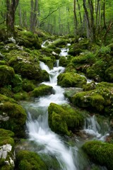 Forest stream flowing over lush green mossy rocks