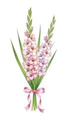 Elegant Watercolor Gladiolus Bouquet with Pink Ribbon Illustration.