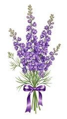 Vibrant Purple Delphinium Flower Bouquet with Ribbon Illustration.