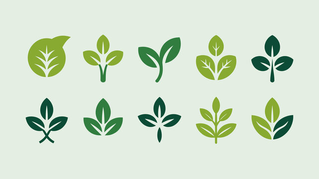 A collection of vibrant green leaf illustrations is displayed showcasing various shapes and vein patterns in a minimalist style high quality professional detailed modern elegant stylish