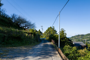 Fototapeta premium A narrow country road curves gently uphill between grassy slopes and lush trees under a clear blue sky, with distant rooftops and rolling hills visible in the background. Bright sunlight casts crisp