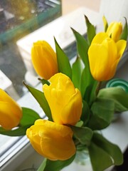 Naklejka premium Yellow tulip flowers in a glass vase standing on a windowsill with soft daylight and fresh green leaves. image represents spring freshness, warmth, renewal and cozy home atmosphere
