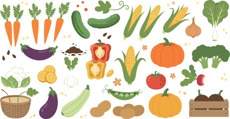 Fototapeta premium Fresh vegetable illustration set with carrots, pumpkins, corn, peppers, cucumbers, eggplants, tomatoes, and colorful healthy farm produce in vector style
