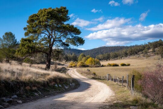 Winding country road rural landscape