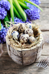 Obraz premium Tiny quail eggs on hay inside the ceramic bowl. Classic Easter postcard motif