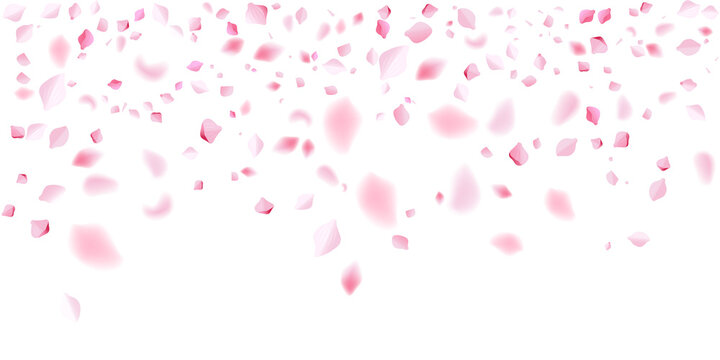 pink rose petals medium density falling wedding ceremony reception celebration floral background