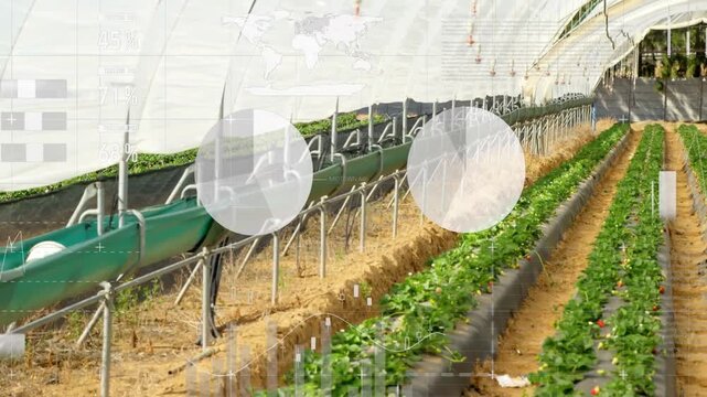 Opening in greenhouse on drip pipe, nozzles, camera panning right showing irrigation charts