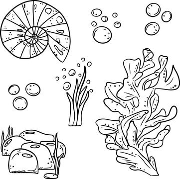 Hand drawn marine elements vector set featuring seaweed, coral, shells, bubbles and underwater stones. Minimalist black line doodle illustrations isolated on white background. Clean contour line art i
