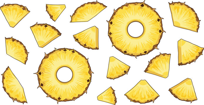 Fresh Pineapple Slice Illustration Set with Whole Rings and Cut Pieces for Food Packaging, Healthy Nutrition Design, Recipes, and Tropical Branding