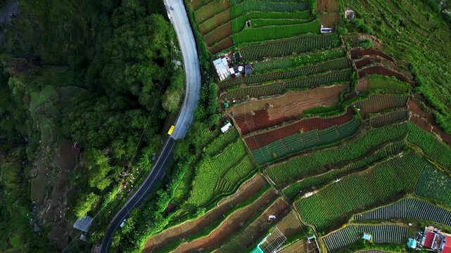 Top down aerial view of Atok Benguet Philippines showing zigzag highway patterns and organized vegetable fields