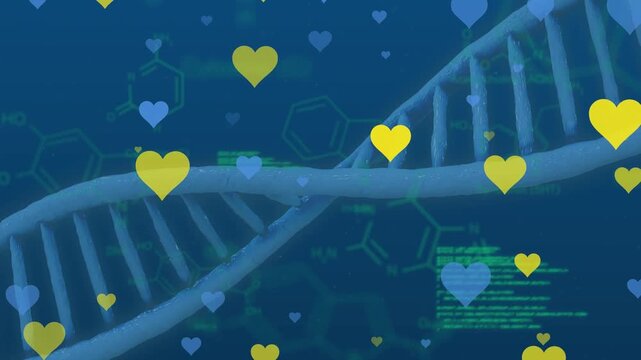 Animation of dna strand spinning and data processing over strong man exercising