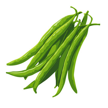 Flat 2D Green Beans vector illustration, icon graphic on white background