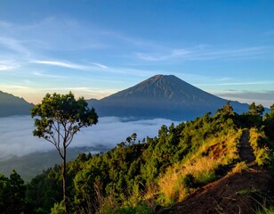 Scenic mountain view with a foggy valley and a clear sky above