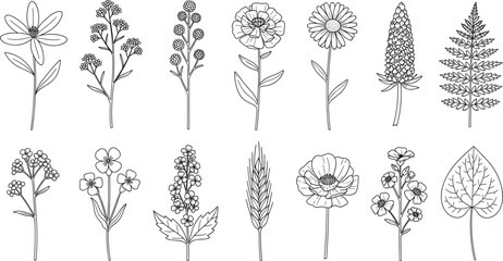 Wildflower and Meadow Herb Line Art Set with Minimalist Hand Drawn Floral Sketches for Organic Branding and Wedding Design Vector Illustration