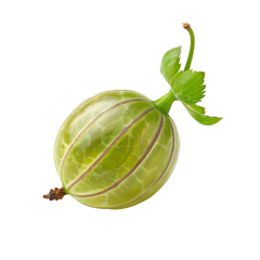 Single ripe green gooseberry with delicate veins and leaves isolated on a black background, showcasing its fresh texture and natural shape.