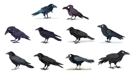 Fototapeta premium Crow cartoon vector illustration with clean shapes, isolated on white background