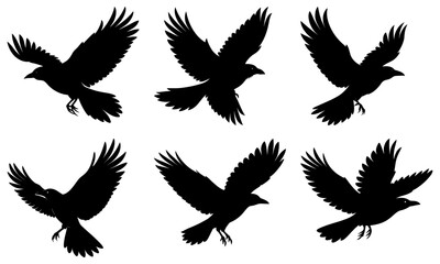 Fototapeta premium Silhouettes of birds in flight showcasing different wing positions and angles