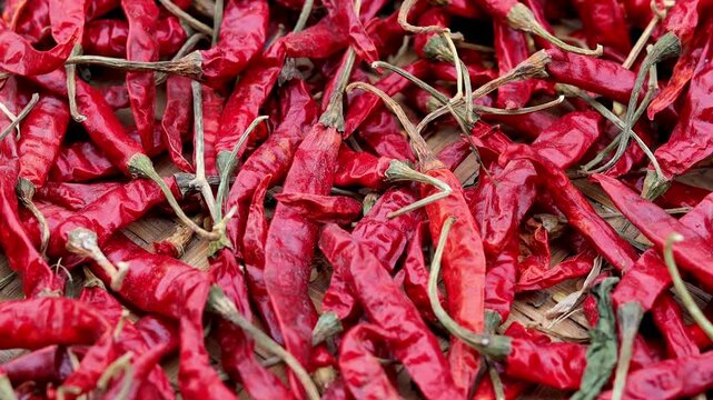 dry red chili peppers background hot and spicy dry red chillies.