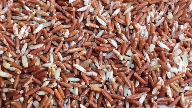 Organic Sangyot brown rice, an indigenous Thai rice variety, is rich in nutrients, fiber, and antioxidants, reflecting the concept of clean food, a healthy lifestyle, and sustainable agriculture 