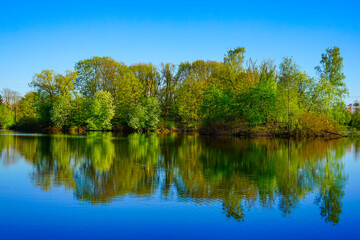 Green Trees and Blue Sky Reflected in Calm Lake Water