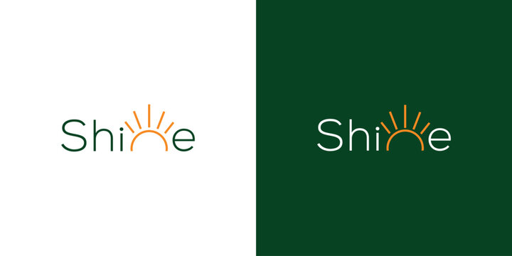 Modern and professional shine logo design