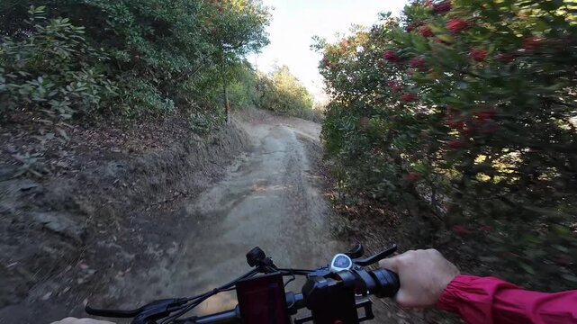 Mountain Bike POV Shot of Los Angeles Kenneth Hahn Park Downhill California USA