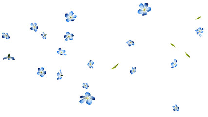 Blue wildflowers flying wide layout 3D render