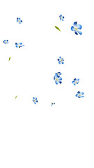 Blue wildflowers minimal portrait layout 3D render