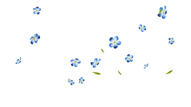 Blue wildflowers floating wide layout 3D render