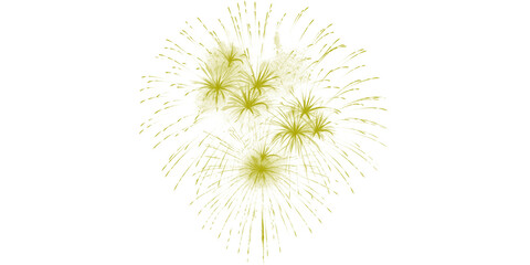 Fototapeta premium Brilliant golden yellow fireworks illuminate the dark night sky a vibrant celebration of joy festive holidays events and