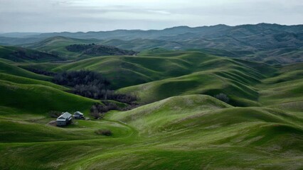 Rolling Green Hills Landscape
