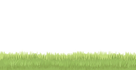 Green young grass, vector cartoon illustration. Grass border. Lawn, grass.
