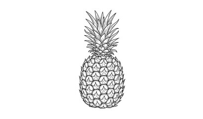 Botanical Pineapple Line Art Hand Drawn Vector Illustration