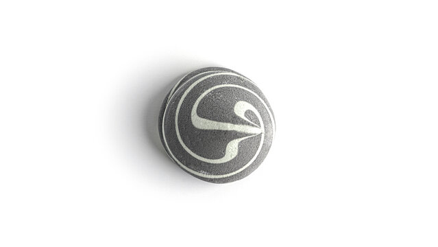 Grey zephyr isolated on a white background. High quality photo