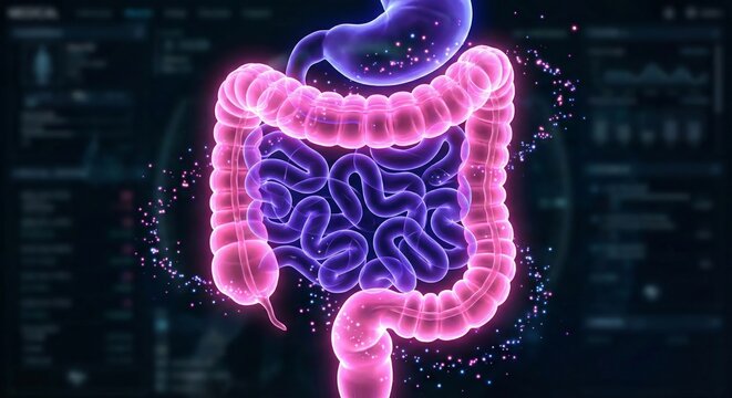 Vibrant 3D Illustration of Human Digestive System with Glowing Pink and Purple Intestines and Stomach Against a Dark Digital Background Featuring Sci Fi Data Displays and Particles