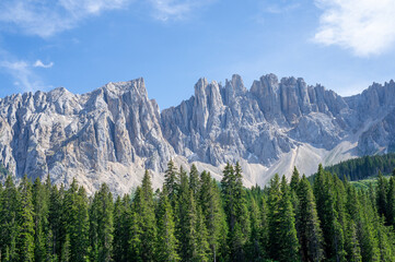 Fototapeta premium Stunning jagged Dolomites mountain peaks rising above lush green pine forest under bright blue summer sky in South Tyrol Italy perfect for travel nature landscape adventure photography wall art themes