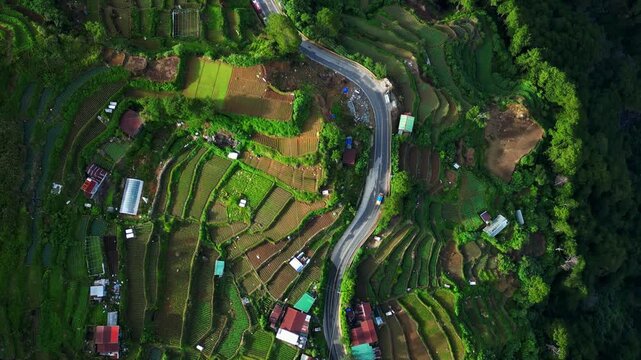 Aerial from above Atok Benguet Halsema Highway Philippines highlighting winding roads and cultivated vegetable fields