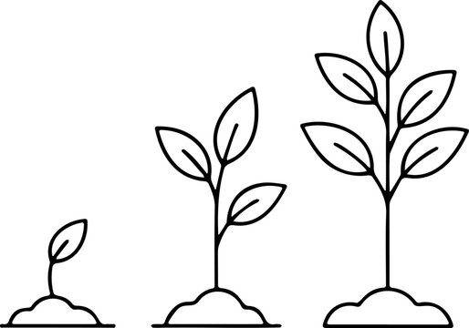 Plant Growth Stages Line Art - Simple Seedling to Mature Plant Vector Outline for Gardening and Education